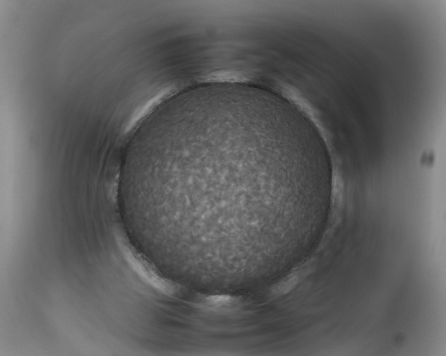 X0000113070153200909110948