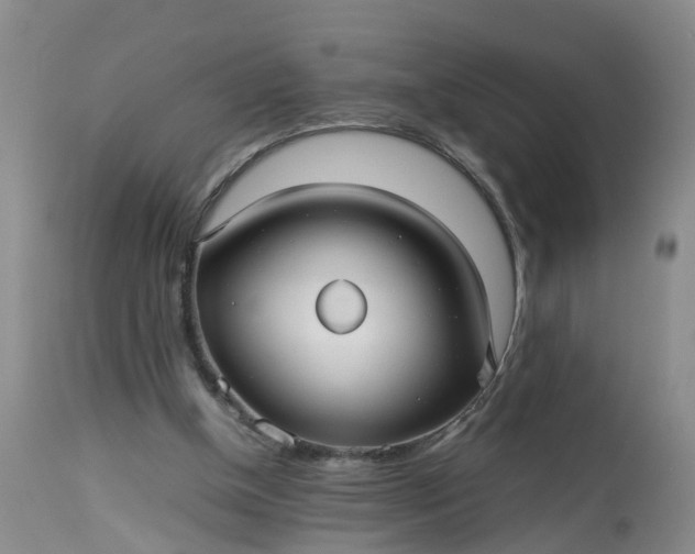 X0000113070154200909110948