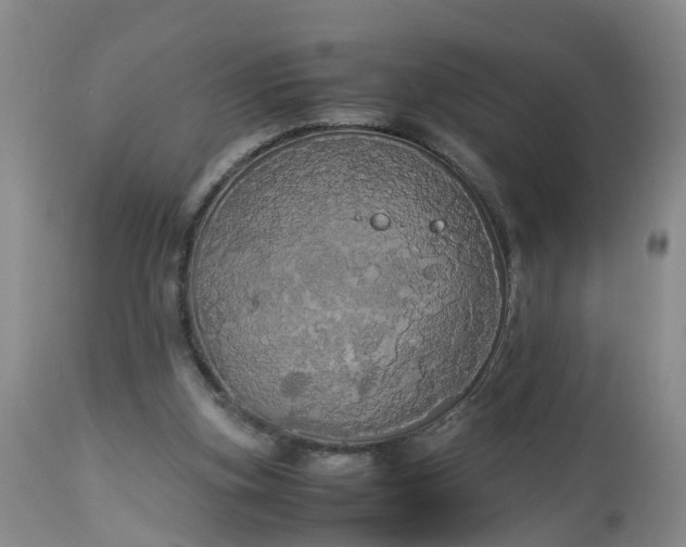 X0000113070155200909110948