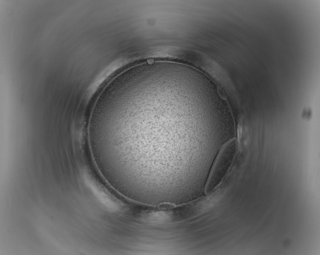 X0000113070156200909110948