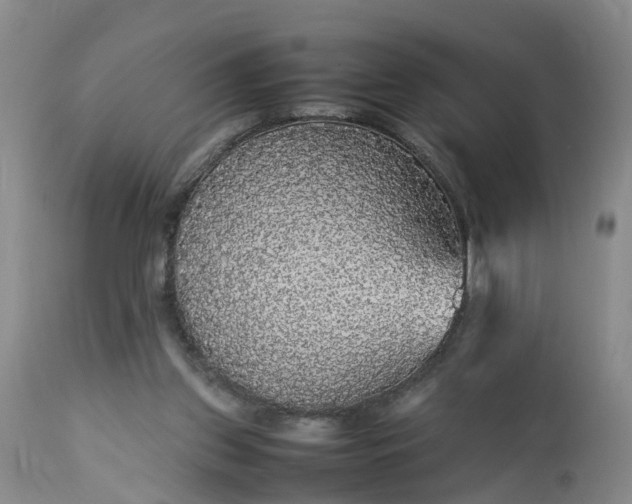 X0000113070157200909110948