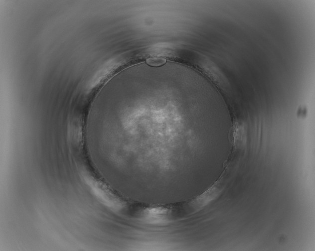 X0000113070158200909110948