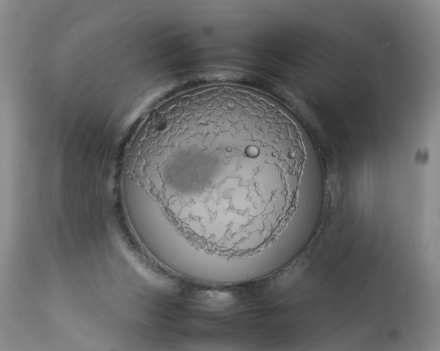 X0000113070159200909110948