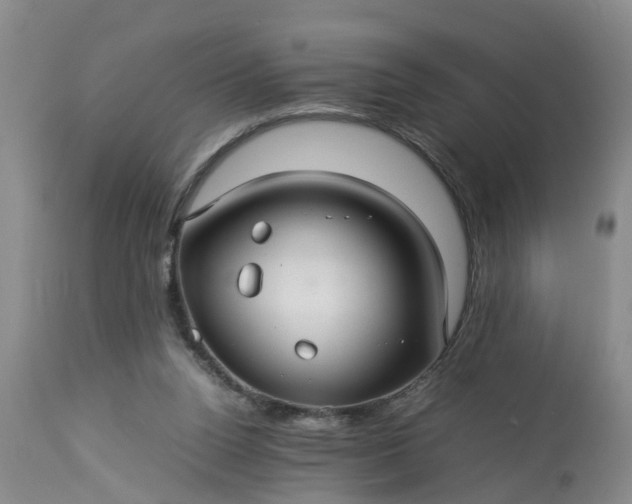 X0000113070160200909110948