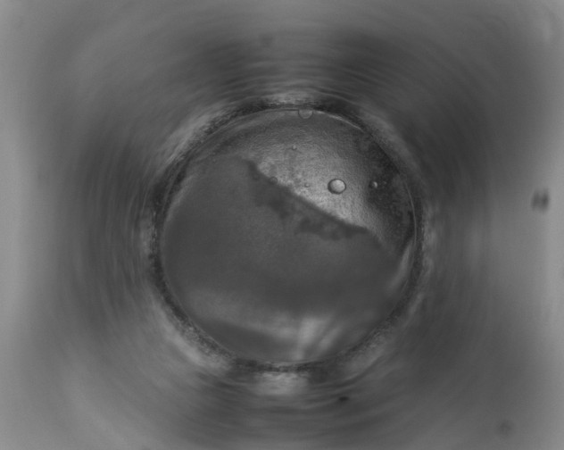 X0000113070161200909110948