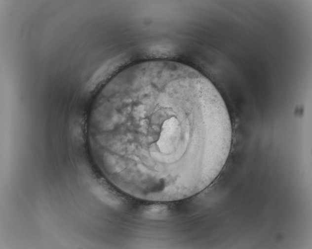 X0000113070162200909110948