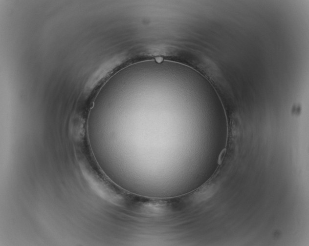 X0000113070164200909110948