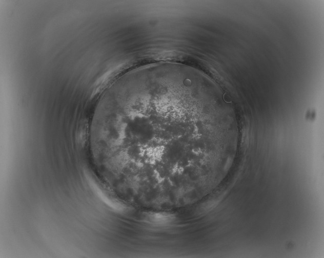 X0000113070165200909110948