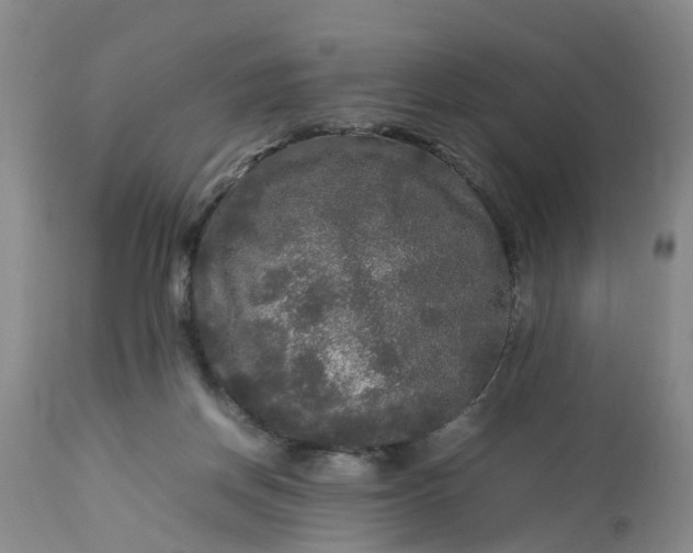 X0000113070166200909110948