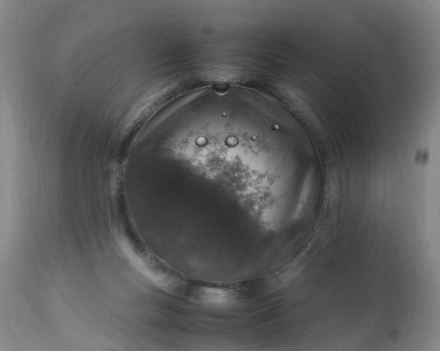 X0000113070167200909110948