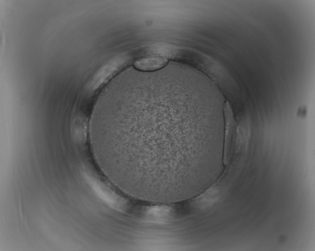 X0000113070168200909110948