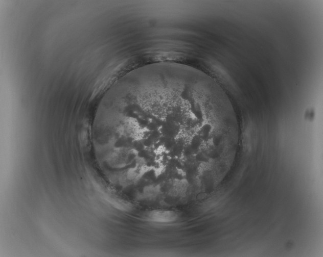 X0000113070169200909110948