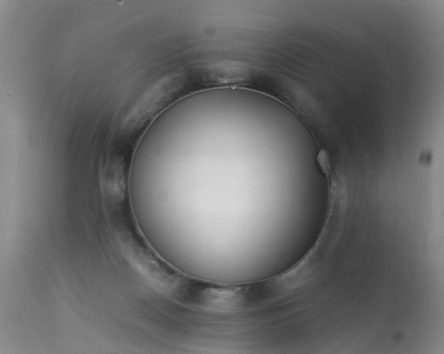 X0000113070170200909110948