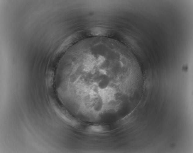 X0000113070171200909110949