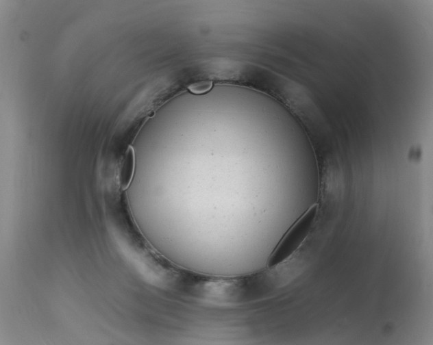 X0000113070172200909110949