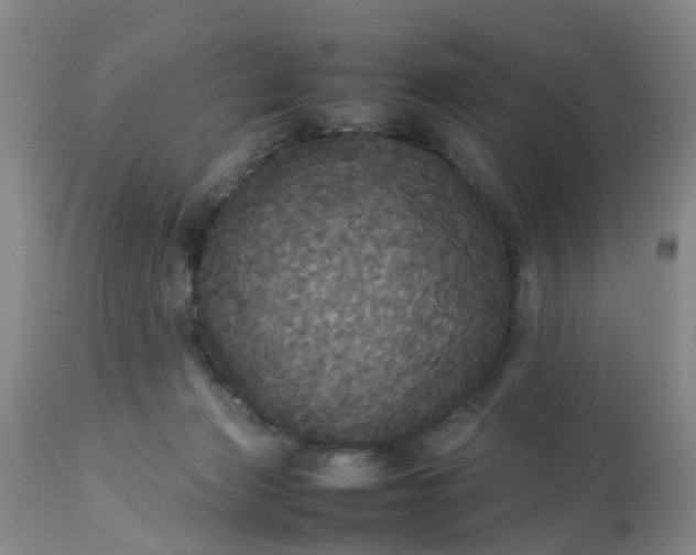 X0000113070173200909110949