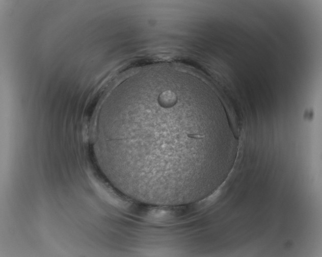 X0000113070174200909110949