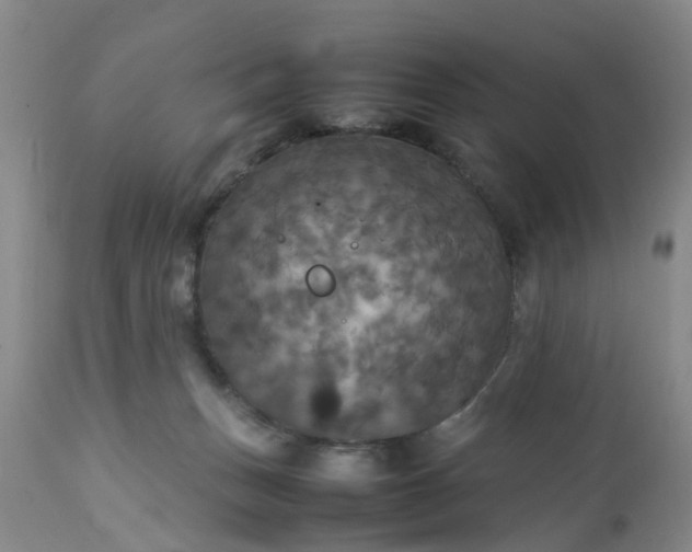 X0000113070175200909110949