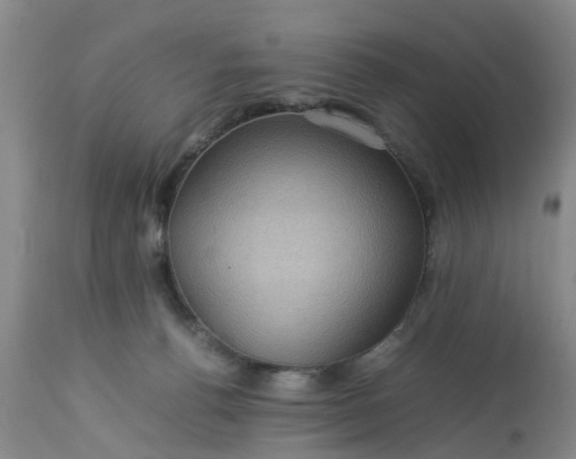 X0000113070176200909110949