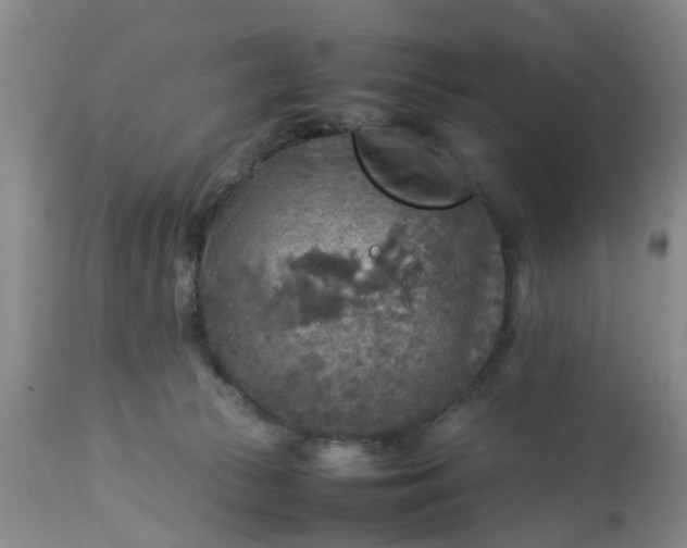 X0000113070177200909110949