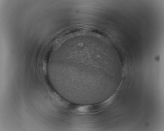 X0000113070178200909110949