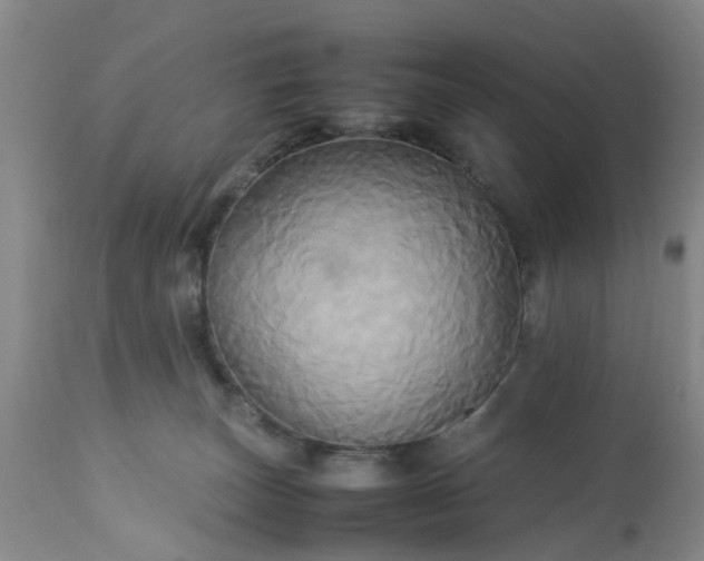 X0000113070179200909110949