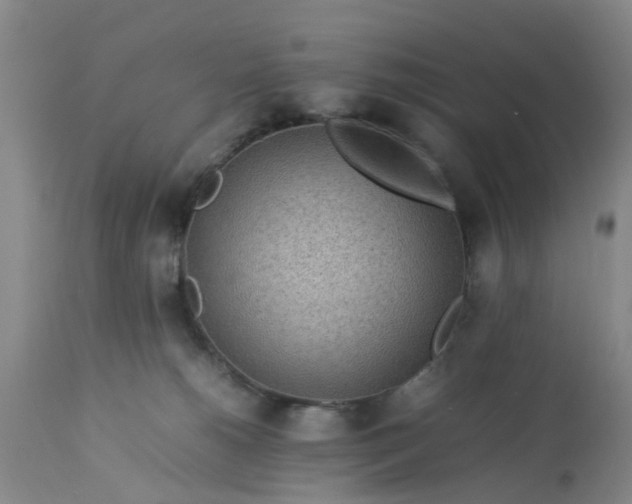 X0000113070180200909110949