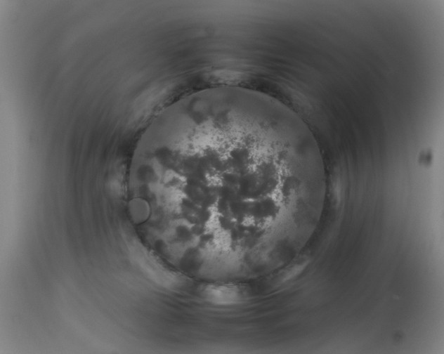 X0000113070181200909110949