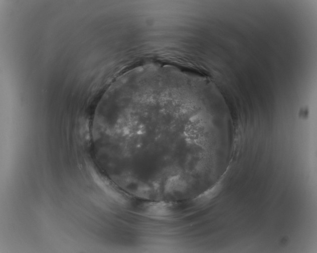 X0000113070182200909110949