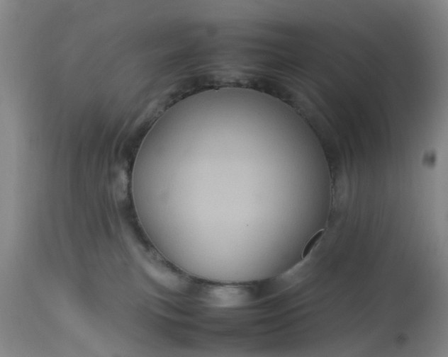 X0000113070183200909110949