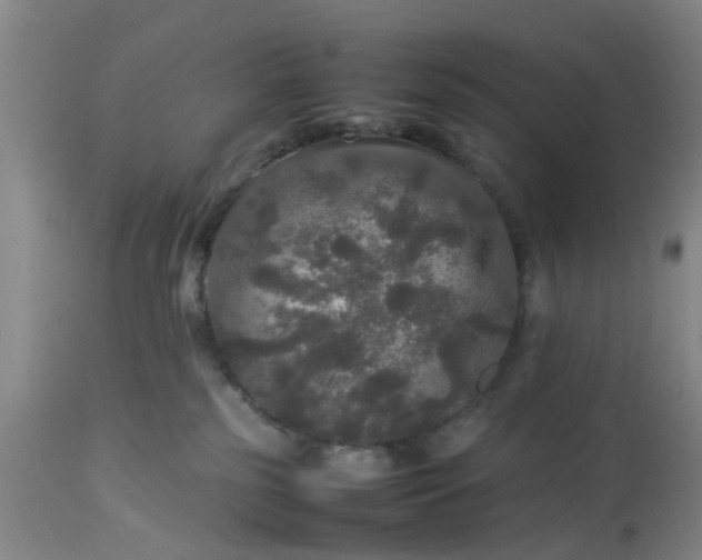 X0000113070185200909110949