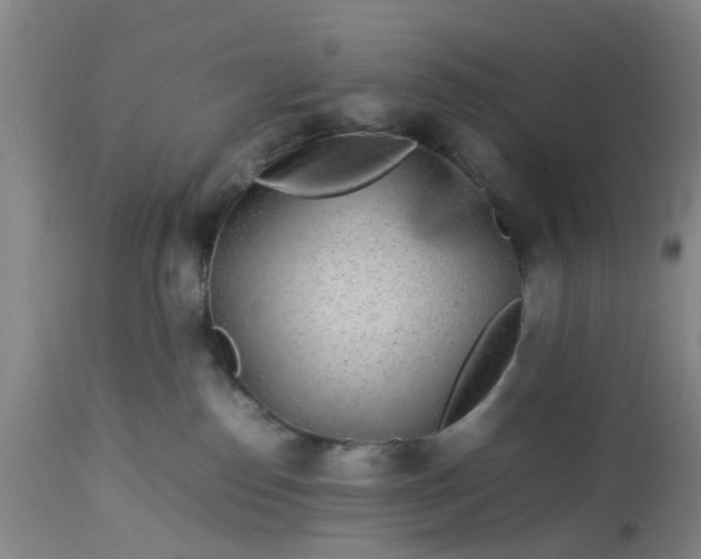 X0000113070186200909110949