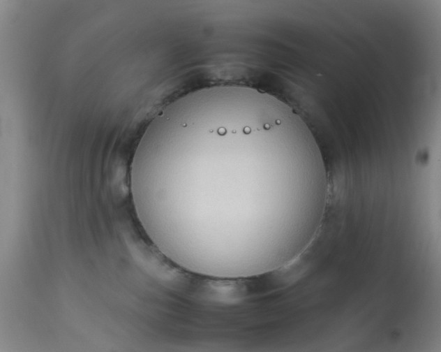 X0000113070187200909110949