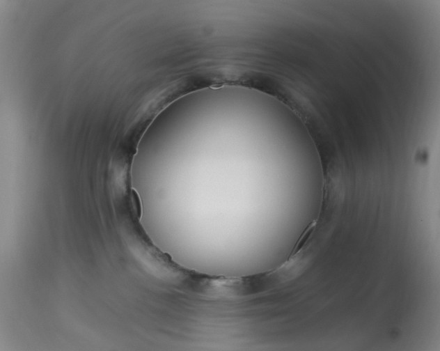 X0000113070188200909110949