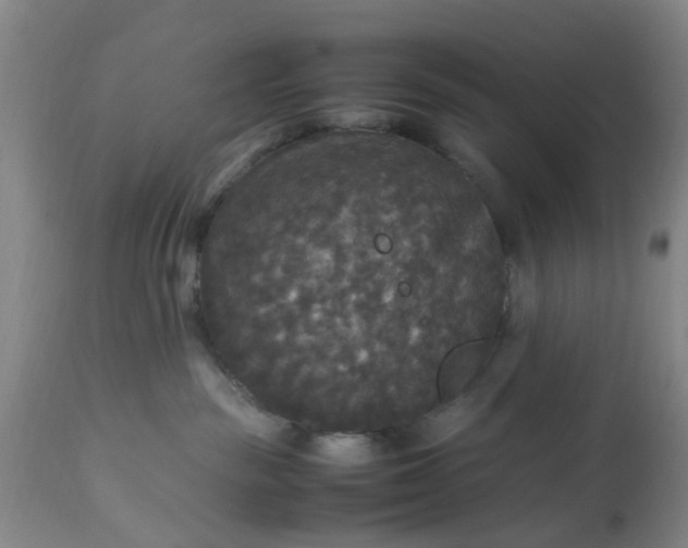 X0000113070189200909110949