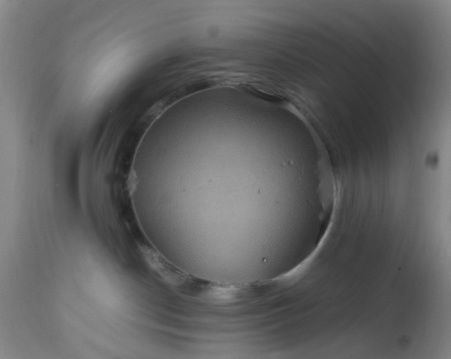 X0000113070190200909110949