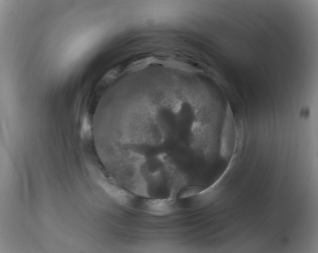 X0000113070191200909110949