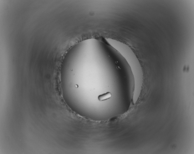 X0000113070192200909110949