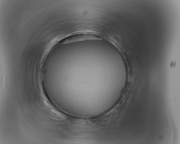 X0000113070193200909110948