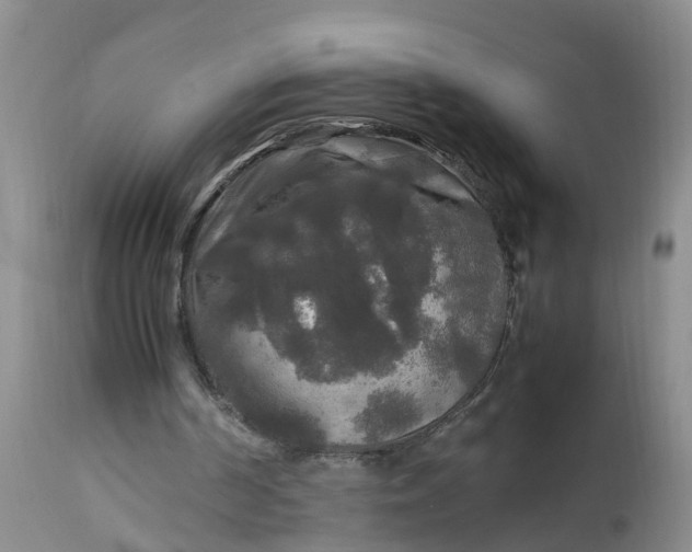 X0000113070194200909110948