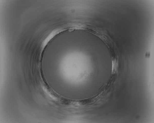 X0000113070195200909110948