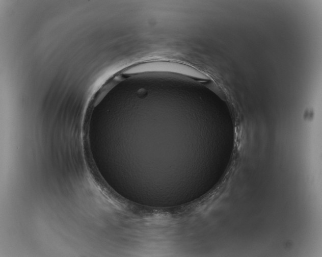 X0000113070196200909110948