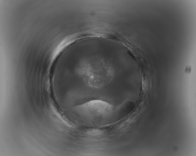 X0000113070198200909110948