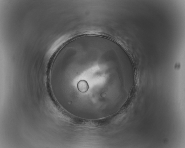 X0000113070199200909110948