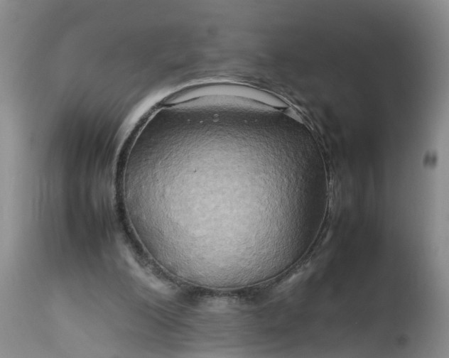 X0000113070200200909110948