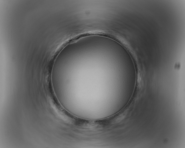 X0000113070201200909110948