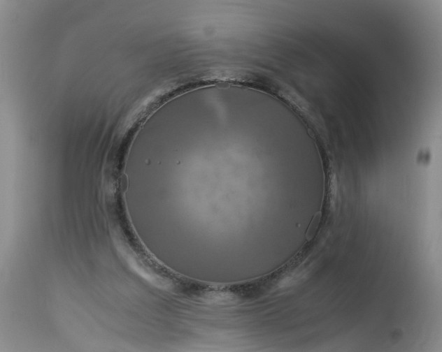 X0000113070203200909110948