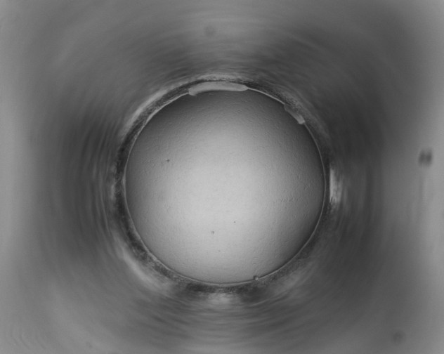 X0000113070204200909110948