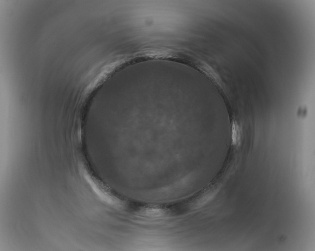 X0000113070205200909110948