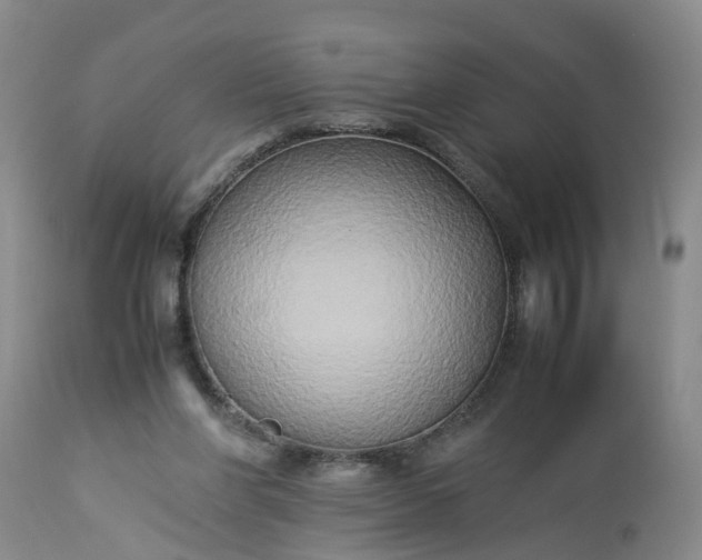 X0000113070206200909110948